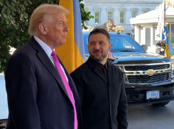 СМИ: Зеленский предложил Трампу обменять ДНР на Запорожскую область