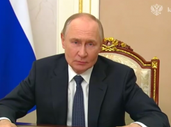 Владимир Путин поздравил работников сельского хозяйства из Запорожской области