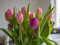 Стало известно, как запорожцы будут отдыхать на 8 Марта