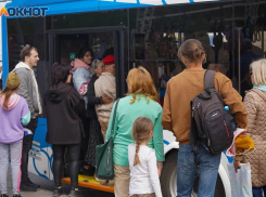 Назван срок приостановки движения автобусов в Пологовском округе на фоне угрозы атак ВСУ