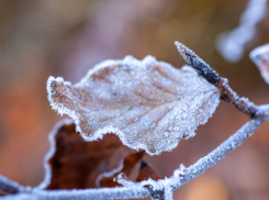 Жителей Запорожской области предупредили о заморозках
