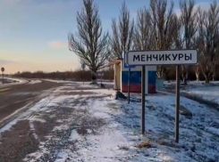 Волки перегрызли собак и запугали людей в запорожских сёлах