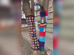 Неизвестные мастера утеплили запорожские деревья вязаными нарядами
