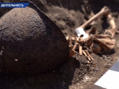 Следователи нашли останки красноармейцев в Запорожской области