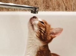 Бердянск остался без воды из-за отсутствия света после удара ВСУ