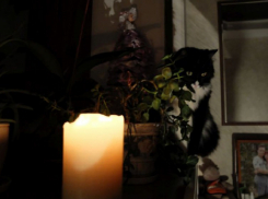 Балицкий: электроснабжение полностью восстановили в Запорожской области