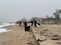 На берег моря в Запорожской области выбросило большое количество погибших моллюсков