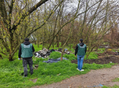 «Смердит за километр»: жители Запорожья пожаловались на стихийную свалку возле больницы