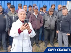 Запорожские фермеры заявили о рейдерском захвате агропредприятия и срыве сбора урожая