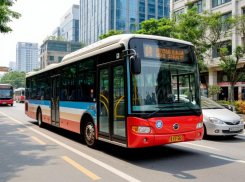 В Запорожской области до конца 2025 года создадут новую маршрутную сеть