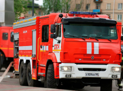 В Запорожской области произошло почти 250 пожаров за неделю: есть погибшие и пострадавшие