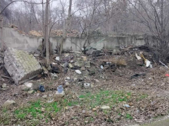 Экологи нашли три стихийные свалки в районах Запорожья