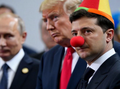 Придётся отказаться от части Запорожья и провести референдум: в Киеве отвергли план Трампа и Путина