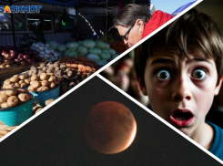 Новости Запорожья: властей обвинили в гуманитарной катастрофе, преступление малолетних садистов и редкое суперлуние