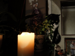 Северо-запад Запорожской области остался без света из-за артобстрела ВСУ