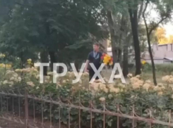 В Запорожье горе-Ромео ободрал аллею роз ради подарка девушке