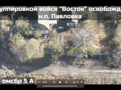 ВС РФ освободили Павловку на Запорожском фронте СВО
