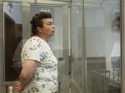 К 11 годам колонии приговорили украинскую шпионку из Васильевского района