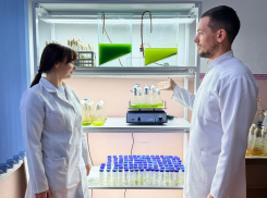 Биологи нашли неизвестный штамм богатых антиоксидантами микроводорослей в Мелитополе