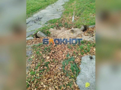 Власти пообещали наказать рублём горе-рабочих, сломавших ливнёвку при уборке дома в Днепрорудном 