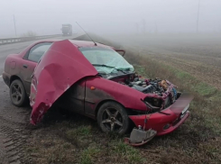 Дети пострадали в ДТП на трассе «Новороссия» в Запорожской области