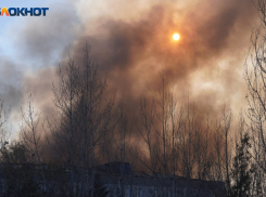 Запорожцев предупредили о высокой пожароопасности до конца суток 10 апреля