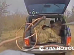 «Разорвало на куски»: дроновод ВСУ казнил сдавшихся в плен украинцев