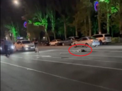 В Мелитополе мама сбитой экс-прокурором 15-летней Лизы столкнулась с волокитой СК