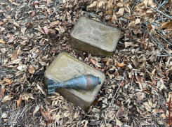 Замаскированный схрон ВСУ обнаружили силовики в Запорожской области