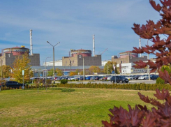 WSJ: территорию вокруг Запорожской АЭС могут объявить нейтральной и передать США