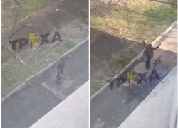 Запорожец исполнил утреннюю серенаду о любви к миру и попал на видео