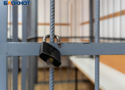 Мужчина избежал реального срока за хранение гранаты и патронов дома в Запорожской области
