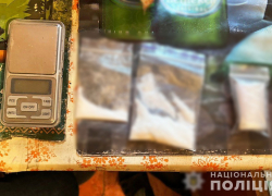 У жителя Запорожья изъяли наркотики на 233 тысячи рублей