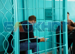 Поздеев частично признал вину в смертельном наезде на Лизу Мелихову в Мелитополе