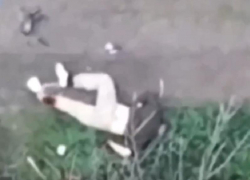 Дуэль операторов БПЛА в Запорожской области показал на видео сенатор Рогозин