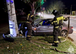 Легковушка вспыхнула после ДТП с деревом в Мелитополе