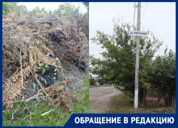 «Могилы утопают в мусоре»: читательница «Блокнота» показала огромную свалку на кладбище в запорожском селе