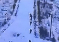 Момент сдачи группы военных ВСУ в плен под Гуляйполем попал на видео