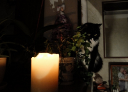 Свет внезапно исчез в Куйбышевском и Пологовском округах утром 30 января