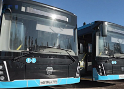 140 новых автобусов вышли на маршруты в Мелитополе и Бердянске