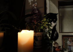 Масштабные отключения света анонсировали в пяти округах Запорожской области