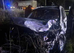 Две женщины — на тот свет, ребёнок — в больницу: появились кадры с места жуткого ДТП с кроссовером под Запорожьем