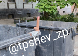 Огромный фаллос-стояк обнаружили в грязном месте в Запорожье