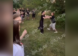 На видео сняли, как девочки-подростки устроили бои без правил в запорожском селе