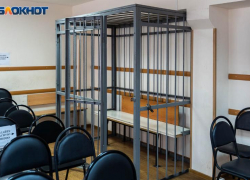 Пожилая жительница Приморска получила 12 лет за спонсирование ГУР Украины