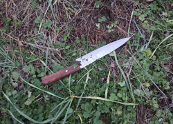 Житель Каменки-Днепровской признался, что распорол живот ножом своему другу