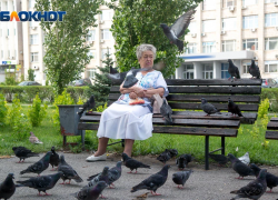 Что изменится в жизни запорожцев в мае