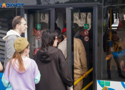 Группы детей запретили возить по автодорогам в Запорожской области