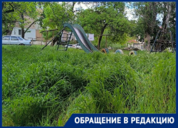 «Боимся выпускать детей»: жители Днепрорудного показали заросшую площадку во дворе многоэтажки