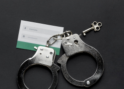 В Запорожской области украинский шпион осуждён на 12 лет 